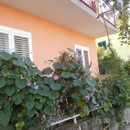 Ema Апартаменты *