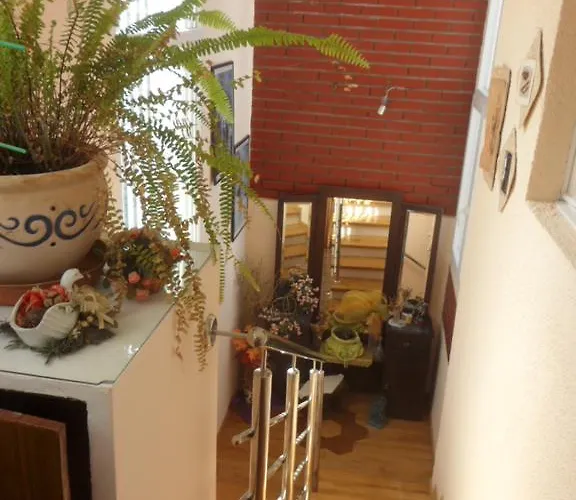 아파트 Ema 시베니크